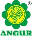 angur-logo